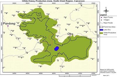 To Label or Not? Governing the Costs and Benefits of Geographic Indication of an African Forest Honey Value Chain